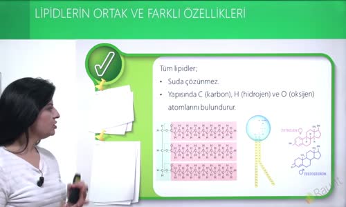 EBA BİYOLOJİ LİSE - CANLILARIN YAPISINDA BULUNAN TEMEL BİLEŞİKLER - LİPİDLER - LİPİDLERİN ORTAK VE FARKLI ÖZELLİKLERİ