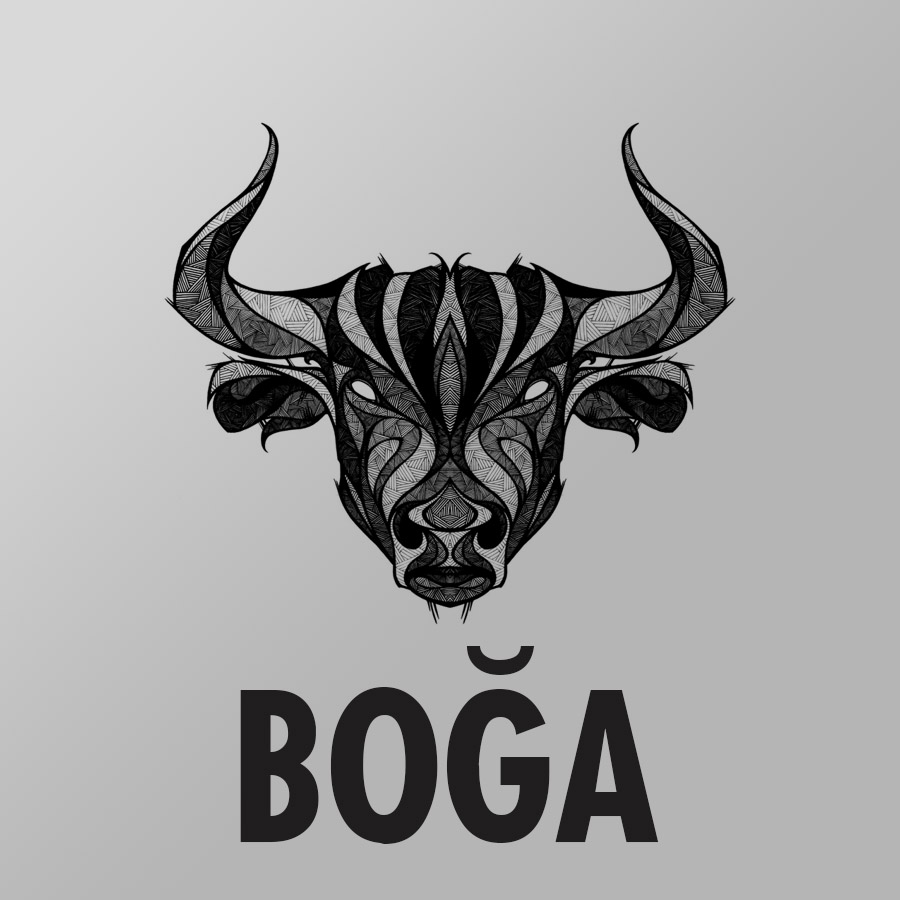 Boğa Boğa Burç Uyumu