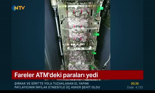 Bankamatikteki Parayı Yiyen Fareler Hindistan