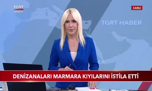 Denizanaları Marmara Kıyılarını İstila Etti