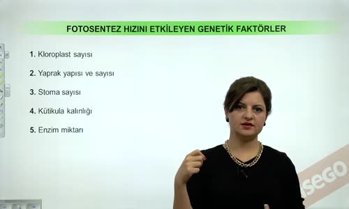 EBA BİYOLOJİ LİSE - CANLILARDA ENERJİ, FOTOSENTEZ VE KEMOSENTEZ - FOTOSENTEZ HIZINI ETKİLEYEN FAKTÖRLER - GENETİK FAKTÖRLER