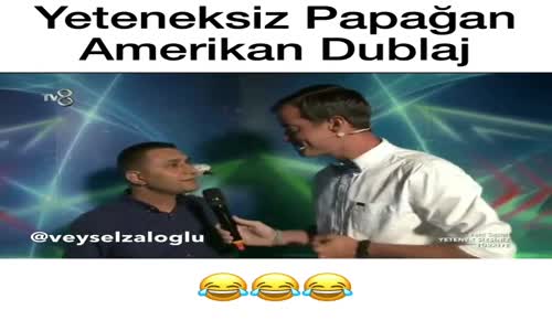  Papağana Yapılan  Amerikan Dublajı