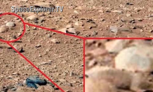 Rusya'dan dünyayı sarsacak iddia NASA Mars'ta hayat olduğunu