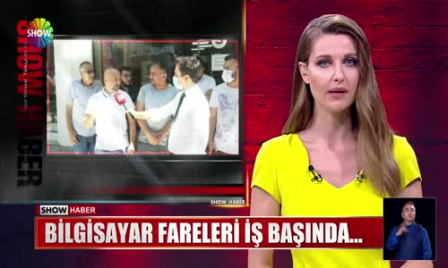 Bilgisayar fareleri iş başında...